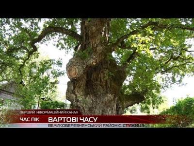 Вбудована мініатюра для ДІДО-ДУБ