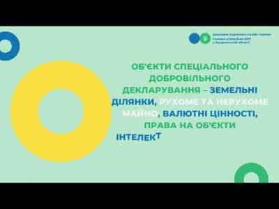 Вбудована мініатюра для Одноразове (спеціальне) добровільне декларуваная